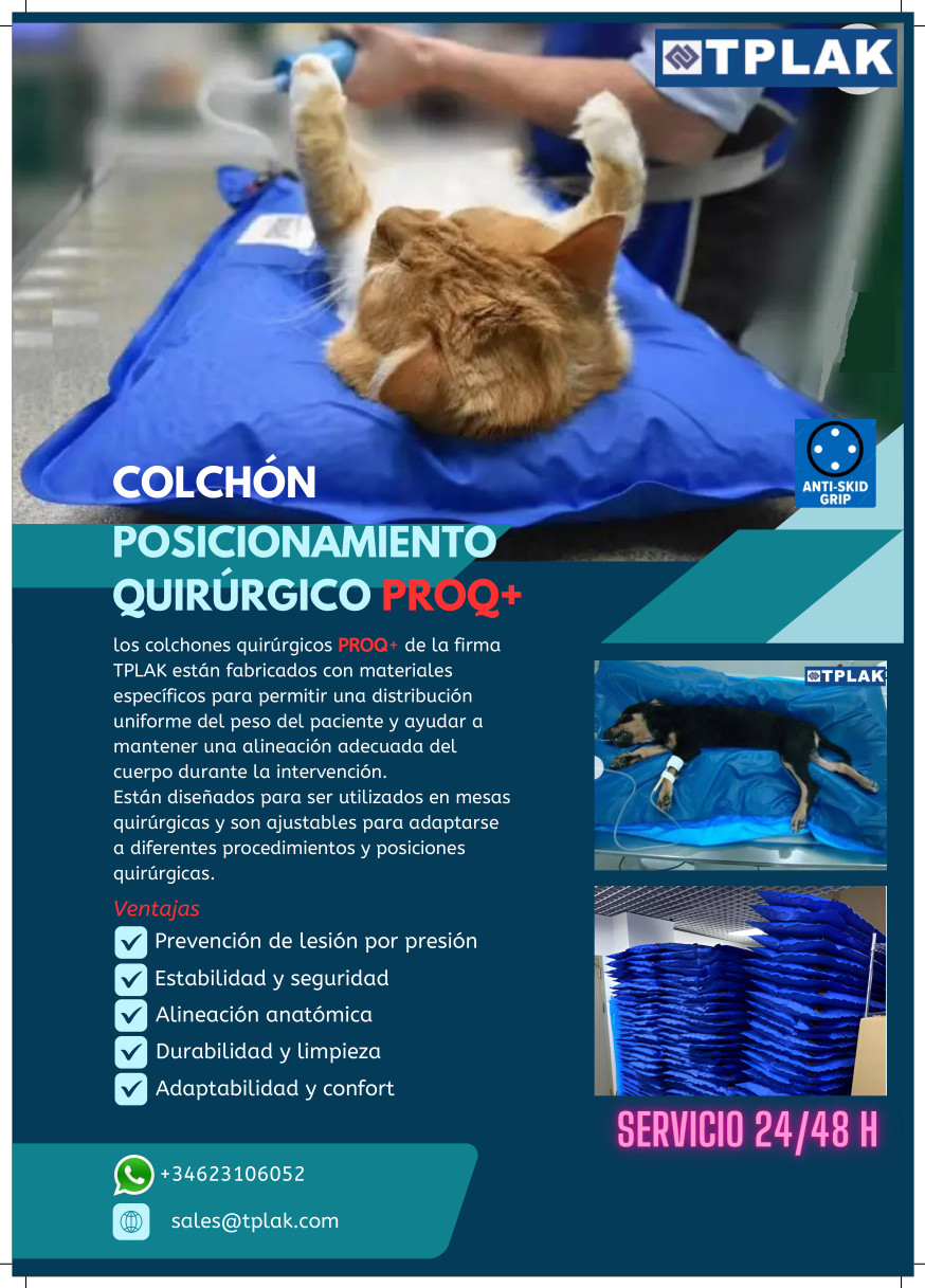 colchones posicionamiento1